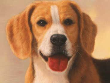 custom animal portrait painting
